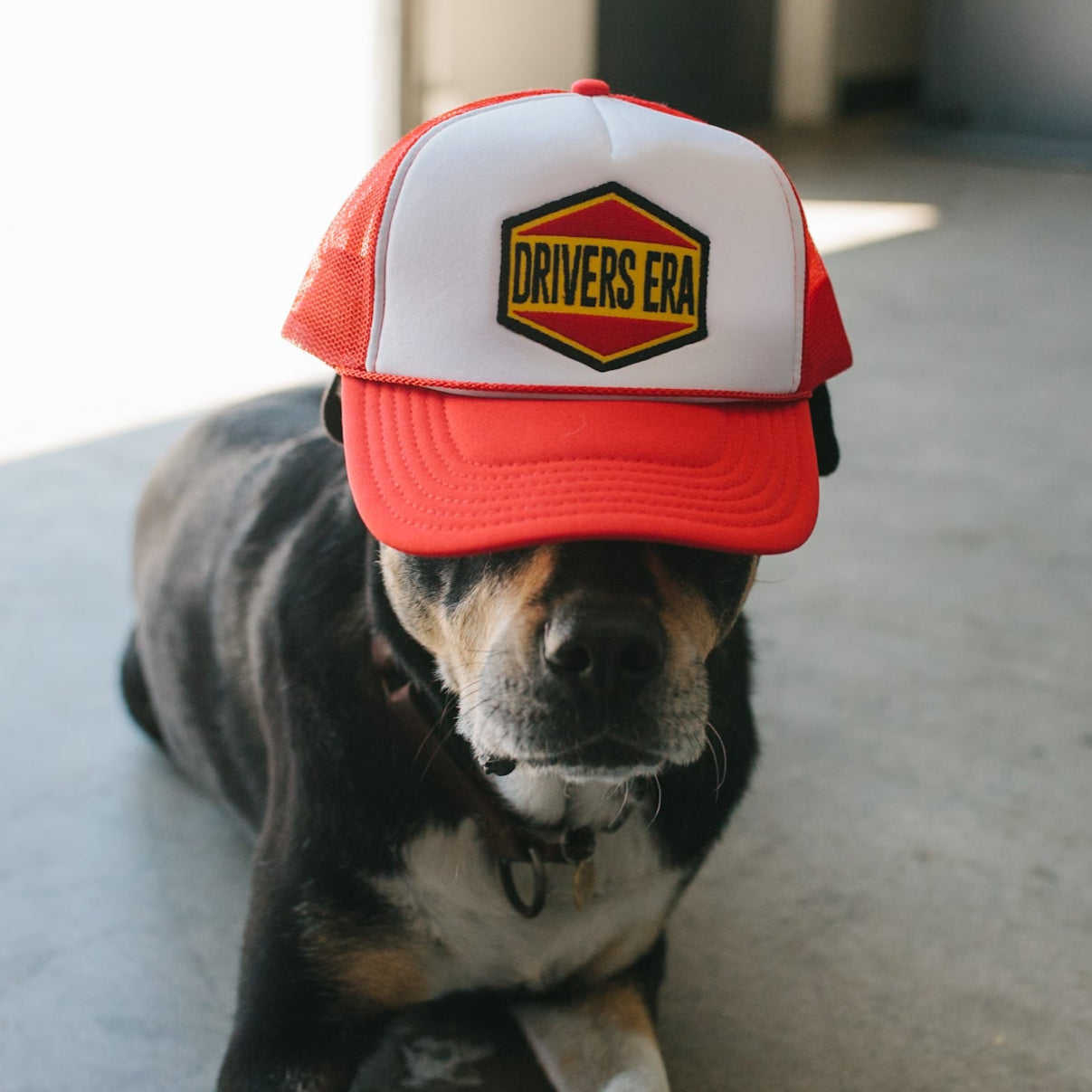 Oil Cap Trucker Hat