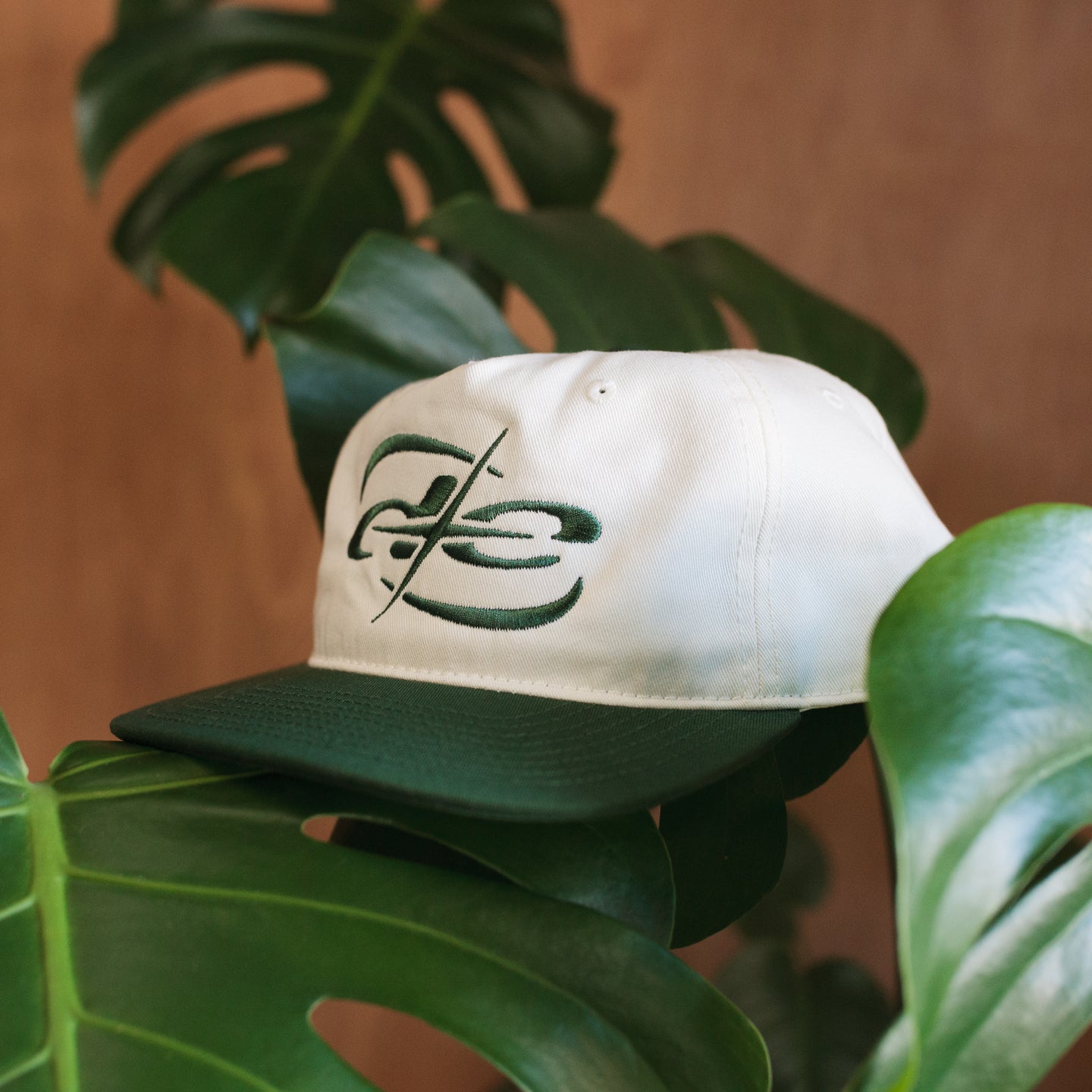 DE Stars 2-tone Snap Back